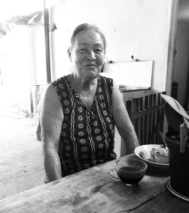 Idosa de 73 anos morre após ser atropelada por cavalo mecânico em Catalão