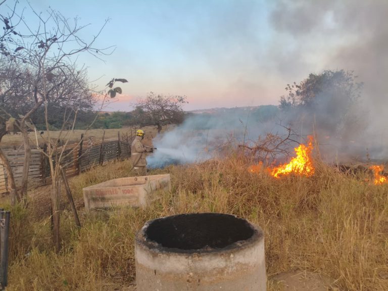 Incêndio em área de vegetação ameaça residências no Parque Real, em Caldas Novas